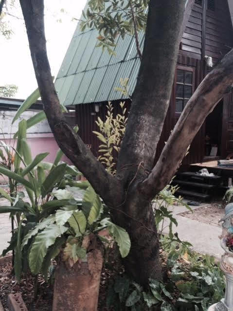 Bnr Resorts Bangkok Luaran gambar